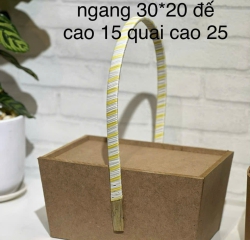 Giỏ quà Tết nhập khẩu